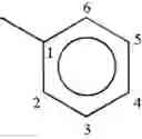 Fig. 101 - Substituted melanocortin receptor-specific single acyl piperazine compounds