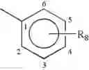 Fig. 20 - Substituted melanocortin receptor-specific single acyl piperazine compounds