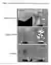 Fig. 08 - Trans-golgi network-associated processes, methods and compositions related thereto