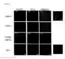 Fig. 09 - Trans-golgi network-associated processes, methods and compositions related thereto