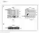 Fig. 24 - Trans-golgi network-associated processes, methods and compositions related thereto