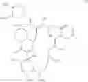 Fig. 02 - Method for preventing or treating ischemia-or hemorrhage-induced brain damage using a macrolide compound