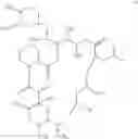 Fig. 03 - Method for preventing or treating ischemia-or hemorrhage-induced brain damage using a macrolide compound