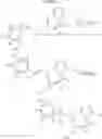Fig. 10 - Triazolopyridine 11-beta hydroxysteroid dehydrogenase type I inhibitors
