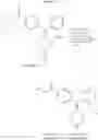 Fig. 15 - Diarylmethylidene piperidine derivatives, preparations thereof and uses thereof as opoid receptors ligands