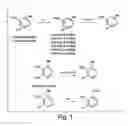 Fig. 02 - Small organic molecule regulators of cell proliferation