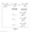 Fig. 04 - Small organic molecule regulators of cell proliferation