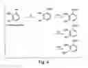 Fig. 05 - Small organic molecule regulators of cell proliferation