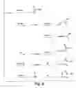 Fig. 07 - Small organic molecule regulators of cell proliferation
