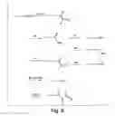Fig. 09 - Small organic molecule regulators of cell proliferation