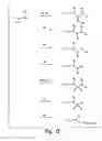 Fig. 12 - Small organic molecule regulators of cell proliferation