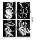 Fig. 46 - Small organic molecule regulators of cell proliferation