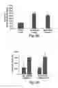 Fig. 57 - Small organic molecule regulators of cell proliferation