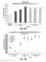 Fig. 63 - Small organic molecule regulators of cell proliferation