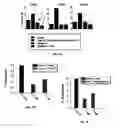 Fig. 03 - Methods for treatment of cardiovascular disorders and diseases