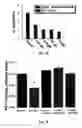 Fig. 05 - Methods for treatment of cardiovascular disorders and diseases