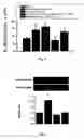 Fig. 06 - Methods for treatment of cardiovascular disorders and diseases