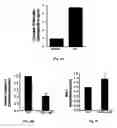 Fig. 07 - Methods for treatment of cardiovascular disorders and diseases