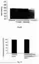 Fig. 10 - Methods for treatment of cardiovascular disorders and diseases