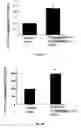 Fig. 12 - Methods for treatment of cardiovascular disorders and diseases