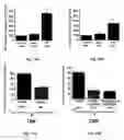 Fig. 13 - Methods for treatment of cardiovascular disorders and diseases