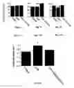 Fig. 15 - Methods for treatment of cardiovascular disorders and diseases