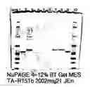 Fig. 05 - Peptide purification by means of metal ion affinity chromatography