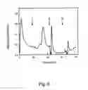 Fig. 09 - Peptide purification by means of metal ion affinity chromatography