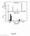 Fig. 26 - Peptide purification by means of metal ion affinity chromatography