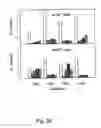 Fig. 27 - Peptide purification by means of metal ion affinity chromatography