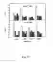 Fig. 28 - Peptide purification by means of metal ion affinity chromatography