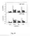 Fig. 29 - Peptide purification by means of metal ion affinity chromatography