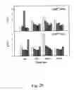 Fig. 30 - Peptide purification by means of metal ion affinity chromatography