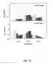 Fig. 33 - Peptide purification by means of metal ion affinity chromatography