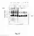 Fig. 58 - Peptide purification by means of metal ion affinity chromatography