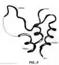 Fig. 03 - Crystallization of IGF-1