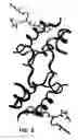 Fig. 06 - Crystallization of IGF-1