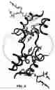 Fig. 07 - Crystallization of IGF-1