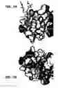 Fig. 08 - Crystallization of IGF-1