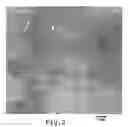 Fig. 03 - Process for producing zinc oxide-protein complex