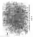 Fig. 05 - Process for producing zinc oxide-protein complex
