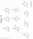 Fig. 02 - Compositions and methods pertaining to PNA synthons and oligomers comprising a universal base