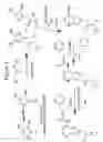 Fig. 04 - Compositions and methods pertaining to PNA synthons and oligomers comprising a universal base
