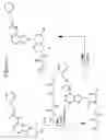 Fig. 05 - Compositions and methods pertaining to PNA synthons and oligomers comprising a universal base