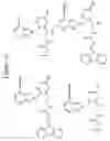 Fig. 09 - Compositions and methods pertaining to PNA synthons and oligomers comprising a universal base