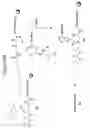 Fig. 12 - Compositions and methods pertaining to PNA synthons and oligomers comprising a universal base