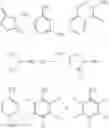 Fig. 19 - Compositions and methods pertaining to PNA synthons and oligomers comprising a universal base