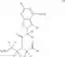 Fig. 26 - Compositions and methods pertaining to PNA synthons and oligomers comprising a universal base