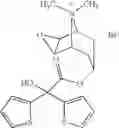 Fig. 02 - Process For Preparing New Tiotropium Salts, New Tiotropium Salts As Such and Pharmaceutical Compositions Thereof