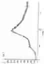Fig. 02 - Process for the preparation of amorphous calcium salt of atorvastatin